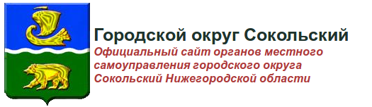 sok raion