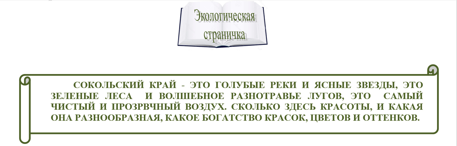 logo ekolog